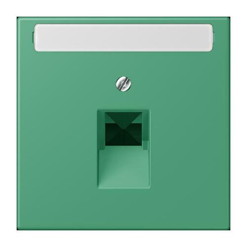 Jung Abdeckung für IAE/UAE vert 59 (4320G) LC 969-1 NAUA 250