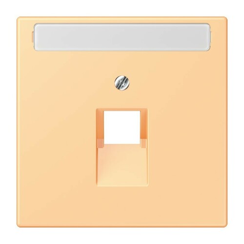 Jung Abdeckung für IAE/UAE LC 969-1 NAUA 258 Jung Abdeckung für IAE/UAE LC 969-1 NAUA 258