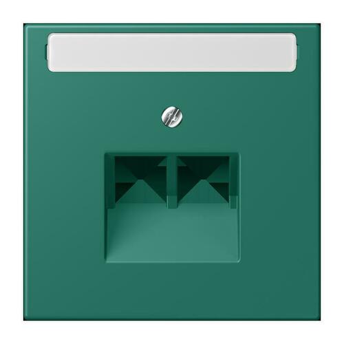 Jung Abdeckung für IAE/UAE vert anglais (32040) LC 969-2 NAUA 216