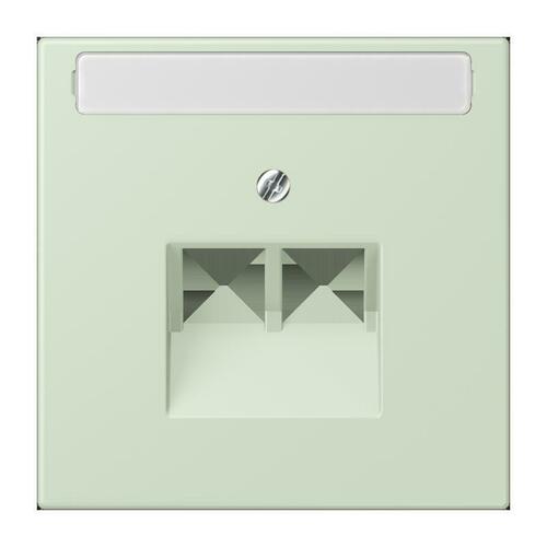 Jung Abdeckung für IAE/UAE LC 969-2 NAUA 218