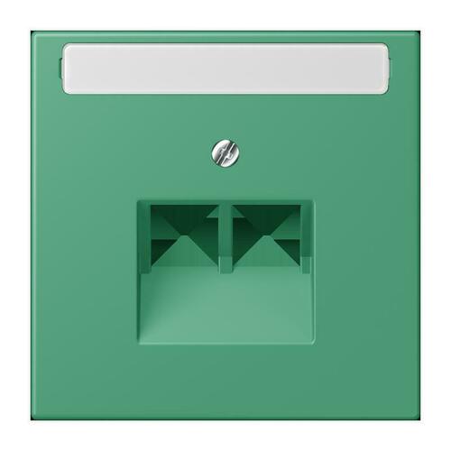 Jung Abdeckung für IAE/UAE vert 59 (4320G) LC 969-2 NAUA 250