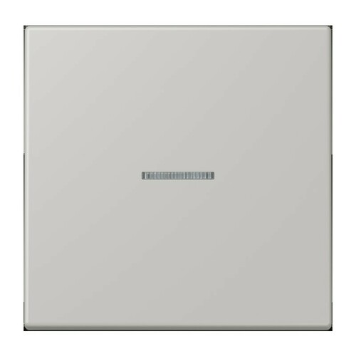 Jung Wippe 1-fach ch m. Lichtleiter LC 990 KO5 205