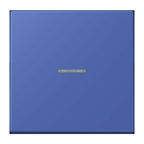 Jung Wippe 1-fach ch m. Lichtleiter LC 990 KO5 206