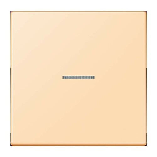Jung Wippe 1-fach ch m. Lichtleiter ocre (32060) LC 990 KO5 223