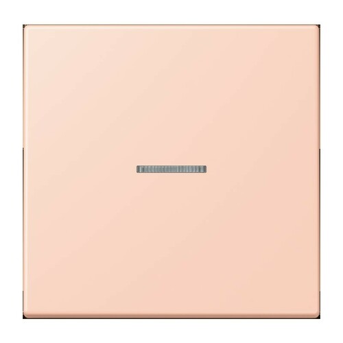 Jung Wippe 1-fach ch m. Lichtleiter LC 990 KO5 234