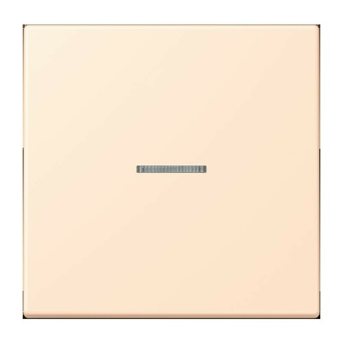 Jung Wippe 1-fach ch m. Lichtleiter LC 990 KO5 238