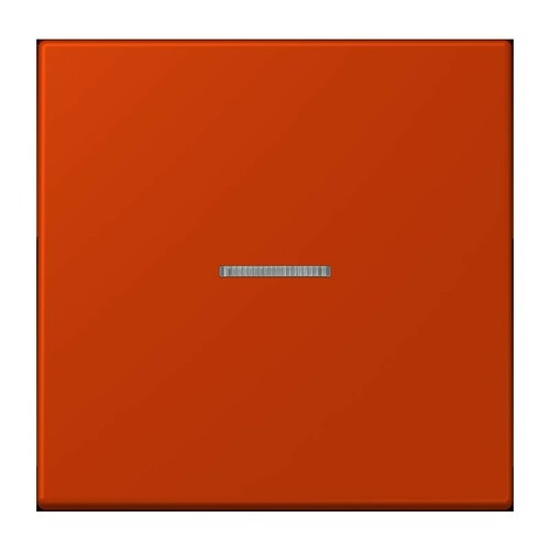 Jung Wippe 1-fach ch m. Lichtleiter LC 990 KO5 244