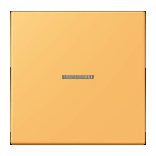 Jung Wippe 1-fach ch m. Lichtleiter LC 990 KO5 254