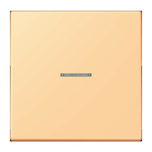 Jung Wippe 1-fach ch m. Lichtleiter LC 990 KO5 258