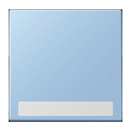 Jung Wippe 1-fach ch m. Schriftfeld LC 990 NA 207