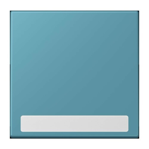 Jung Wippe 1-fach ch m. Schriftfeld ceruleen vif (32031) LC 990 NA 212