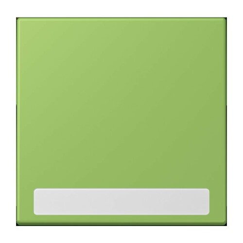 Jung Wippe 1-fach ch m. Schriftfeld vert 31 (32051) LC 990 NA 220