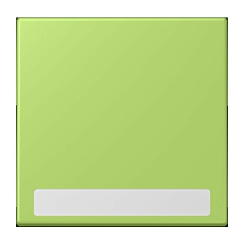 Jung Wippe 1-fach ch m. Schriftfeld vert clair (32052) LC 990 NA 221