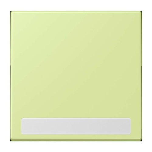 Jung Wippe 1-fach ch m. Schriftfeld LC 990 NA 222
