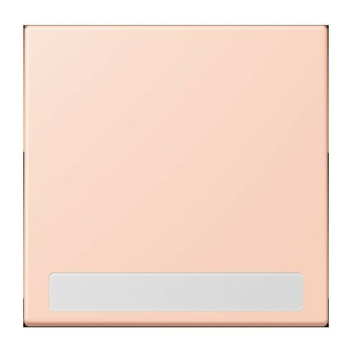 Jung Wippe 1-fach ch m. Schriftfeld LC 990 NA 234