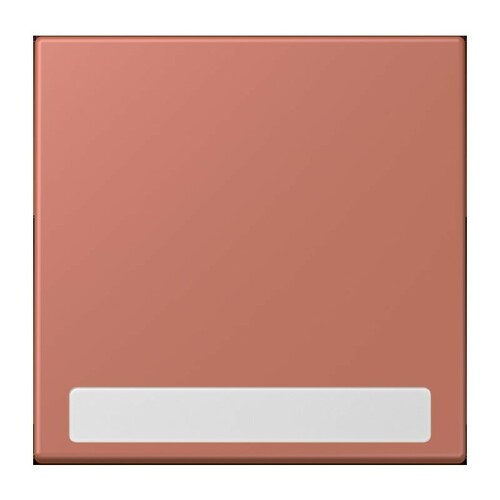 Jung Wippe 1-fach ch m. Schriftfeld LC 990 NA 236