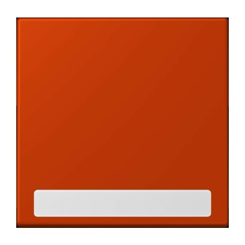 Jung Wippe 1-fach ch m. Schriftfeld LC 990 NA 244