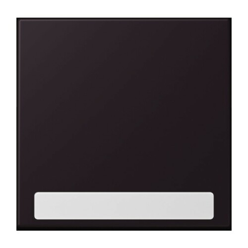 Jung Wippe 1-fach ch m. Schriftfeld noir divoire (4320E) LC 990 NA 248