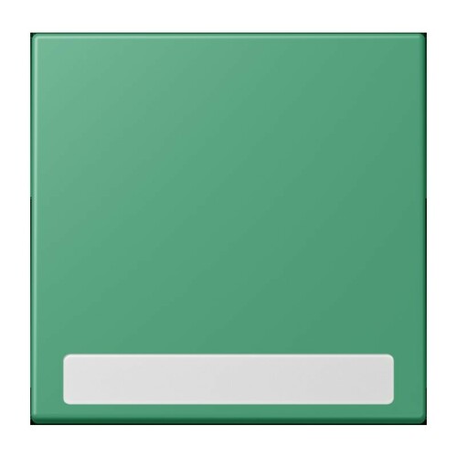 Jung Wippe 1-fach ch m. Schriftfeld vert 59 (4320G) LC 990 NA 250