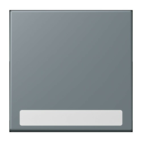 Jung Wippe 1-fach ch m. Schriftfeld gris 59 (4320H) LC 990 NA 251