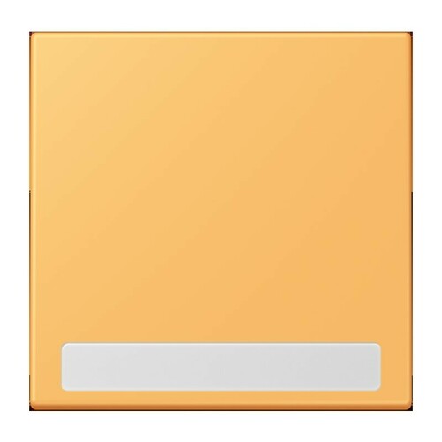 Jung Wippe 1-fach ch m. Schriftfeld LC 990 NA 254