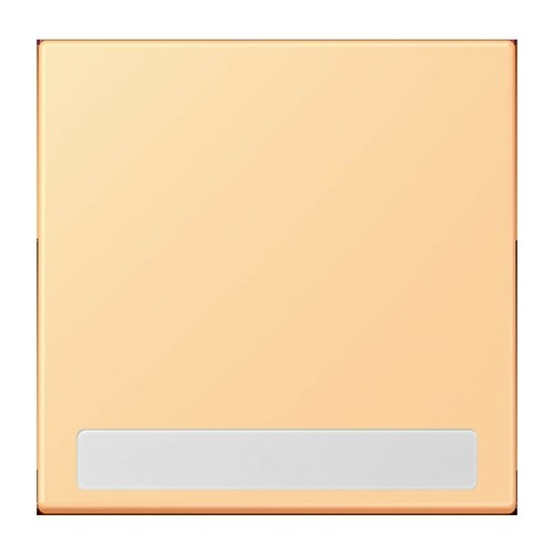Jung Wippe 1-fach ch m. Schriftfeld LC 990 NA 258