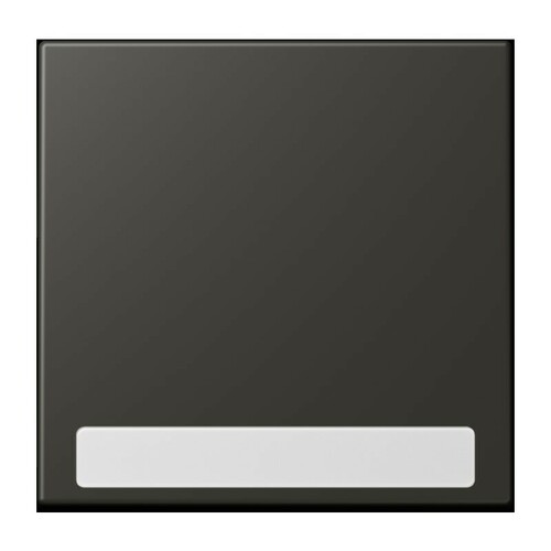 Jung Wippe 1-fach ch m. Schriftfeld LC 990 NA 259