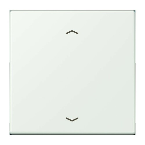 Jung Wippe 1-fach ch m. Pfeilsymb. LC 990 P 210