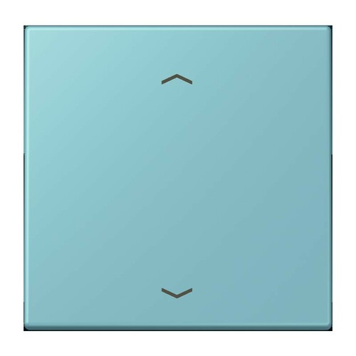 Jung Wippe 1-fach ch m. Pfeilsymb. LC 990 P 213