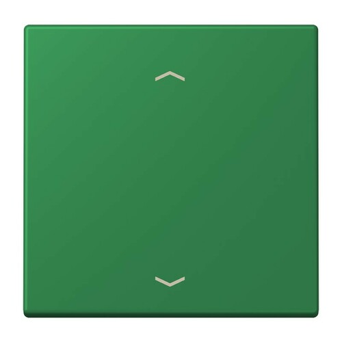 Jung Wippe 1-fach ch m. Pfeilsymb. vert fonce (32050) LC 990 P 219 Jung Wippe 1-fach ch m. Pfeilsymb. vert fonce (32050) LC 990 P 219