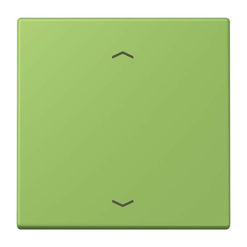Jung Wippe 1-fach ch m. Pfeilsymb. vert 31 (32051) LC 990 P 220 Jung Wippe 1-fach ch m. Pfeilsymb. vert 31 (32051) LC 990 P 220