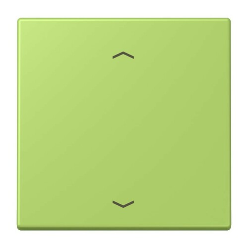 Jung Wippe 1-fach ch m. Pfeilsymb. vert clair (32052) LC 990 P 221 Jung Wippe 1-fach ch m. Pfeilsymb. vert clair (32052) LC 990 P 221