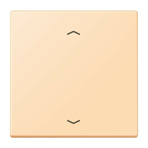 Jung Wippe 1-fach ch m. Pfeilsymb. ocre (32060) LC 990 P 223
