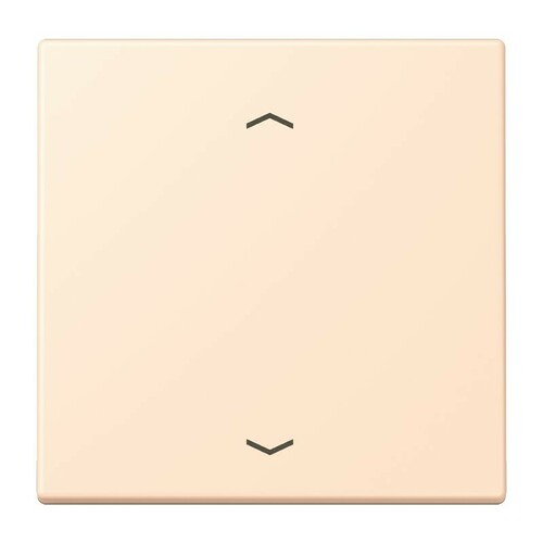 Jung Wippe 1-fach ch m. Pfeilsymb. LC 990 P 238