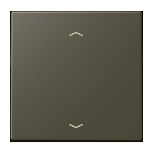 Jung Wippe 1-fach ch m. Pfeilsymb. LC 990 P 241