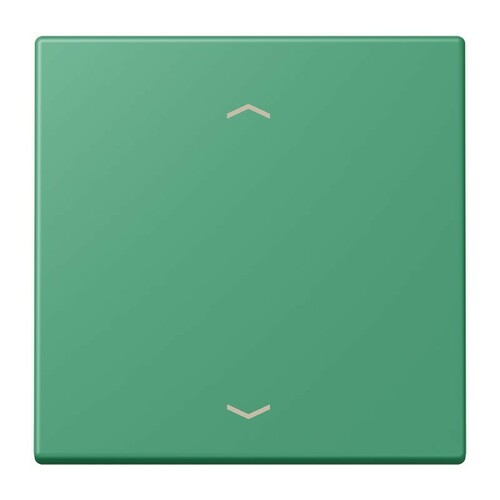 Jung Wippe 1-fach ch m. Pfeilsymb. vert 59 (4320G) LC 990 P 250 Jung Wippe 1-fach ch m. Pfeilsymb. vert 59 (4320G) LC 990 P 250
