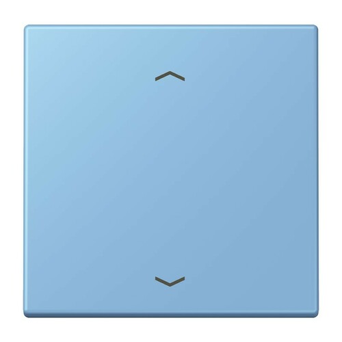 Jung Wippe 1-fach ch m. Pfeilsymb. LC 990 P 256