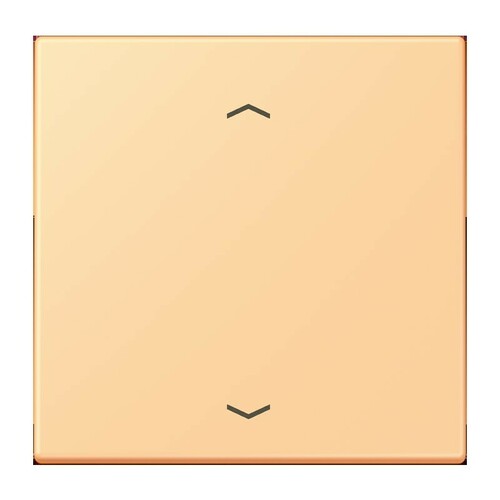 Jung Wippe 1-fach ch m. Pfeilsymb. LC 990 P 258