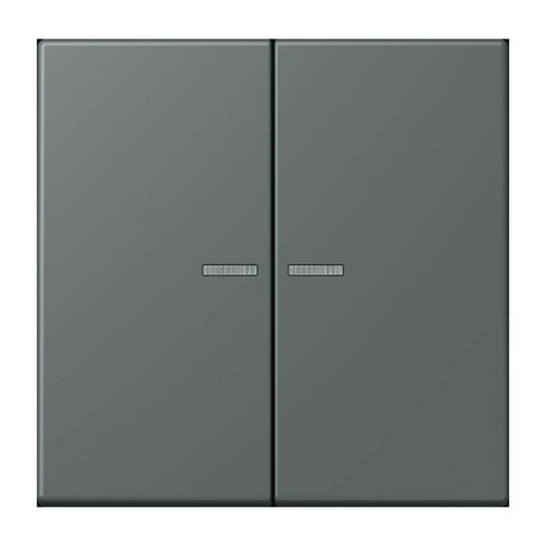 Jung Wippe 2-fach ch m. Lichtleiter LC 995 KO5 202