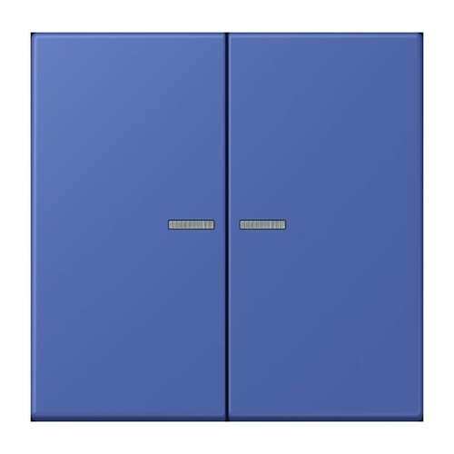 Jung Wippe 2-fach ch m. Lichtleiter LC 995 KO5 206