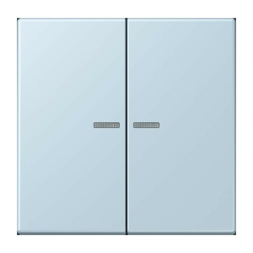 Jung Wippe 2-fach ch m. Lichtleiter LC 995 KO5 208