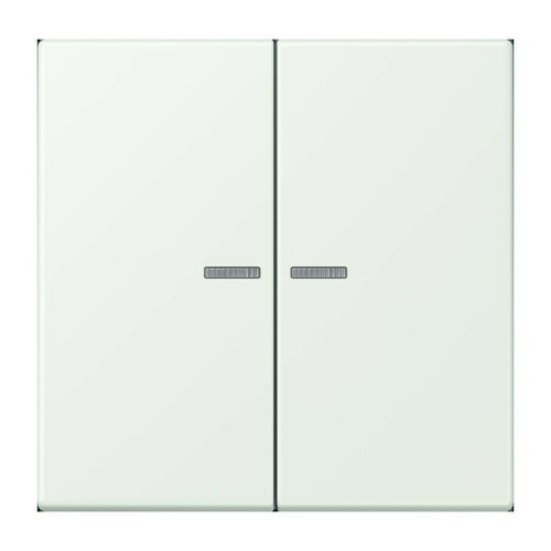Jung Wippe 2-fach ch m. Lichtleiter LC 995 KO5 210