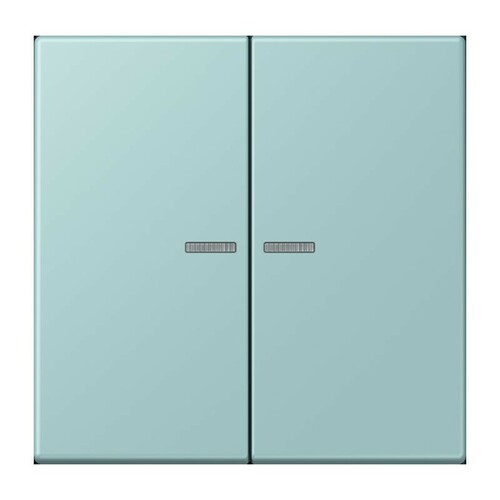 Jung Wippe 2-fach ch m. Lichtleiter LC 995 KO5 214