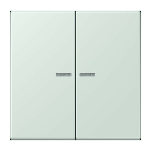 Jung Wippe 2-fach ch m. Lichtleiter LC 995 KO5 215