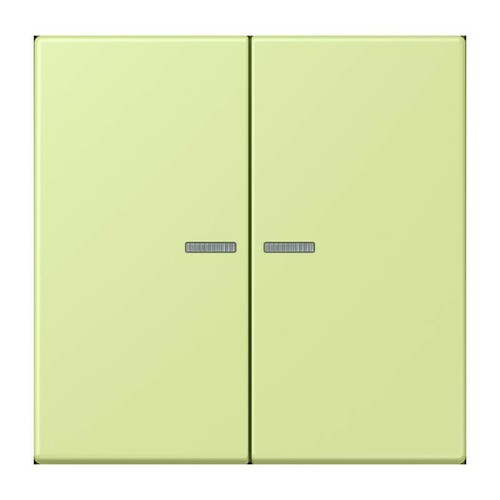 Jung Wippe 2-fach ch m. Lichtleiter LC 995 KO5 222