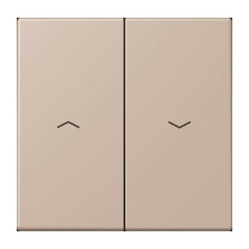 Jung Wippe 2-fach ch m. Pfeilsymb. LC 995 P 240