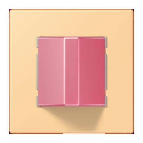 Jung Notrufsystem Rufmodul NRS LC 0834 RM 258