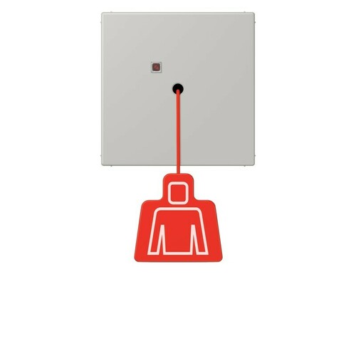 Jung Notrufsystem Zugtaster gris clair 31 NRS LC 0834 ZT 205