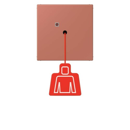 Jung Notrufsystem Zugtaster terre sienne brique NRS LC 0834 ZT 236