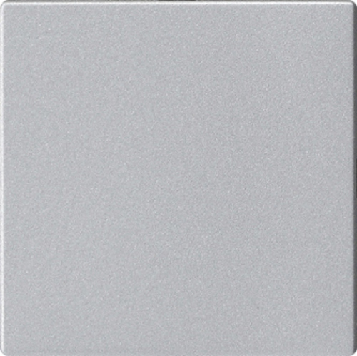 Gira Blindabd. o.Tragring Alu 810826